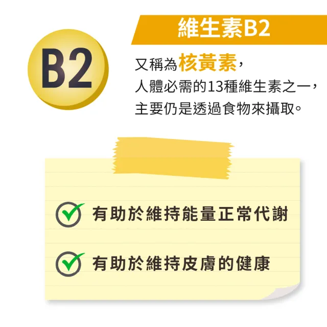 【LOVITA 愛維他】緩釋型維生素B2素食錠*1瓶(100mg)