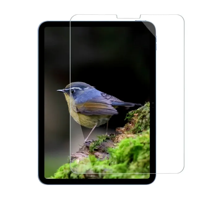 【SOBiGO】iPad 2024 9H鋼化玻璃AIR/PRO 11吋(滿版2.5D 防偷窺)