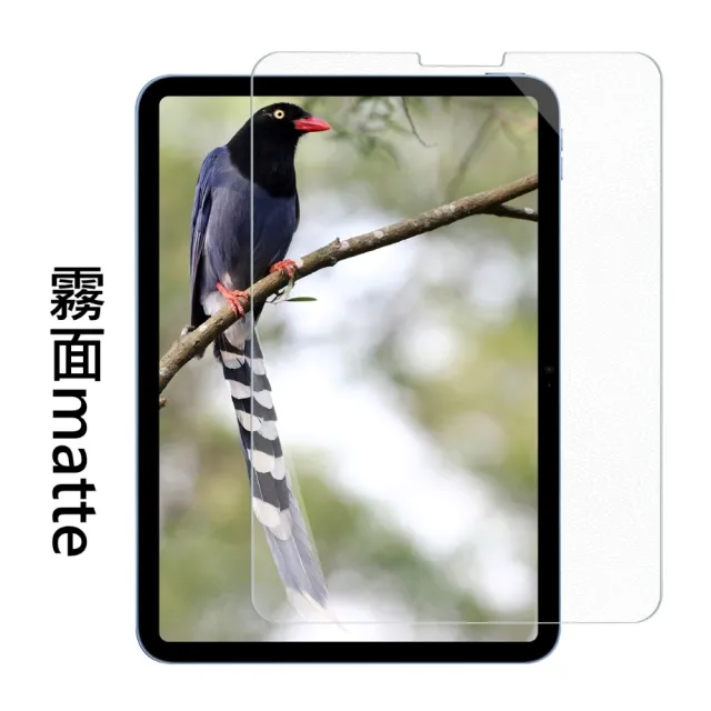 【SOBiGO】iPad 2024 9H鋼化玻璃 AIR/PRO 13吋(滿版2.5D 霧面抗反光)