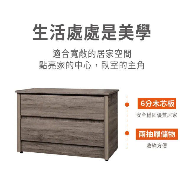【ASSARI】堂本木心板二斗櫃(寬91x深47x高61cm)