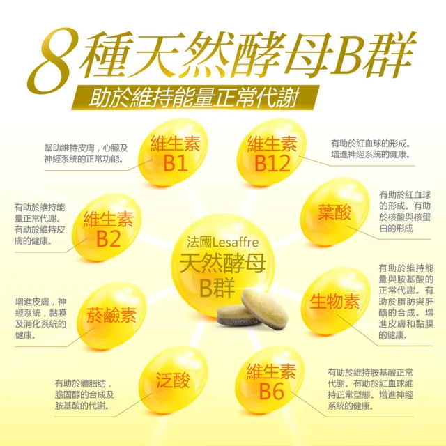 【Dr.Advice 健康力】法國天然酵母B群活力錠60錠X3瓶 徐若瑄代言(全素 長效緩釋 紅景天 五味子 鋅)