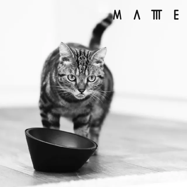 【MATTTE】RoLock 寵物不倒大口徑飼料斜食碗 250ml 不沾黑色(吸地耐撞/內外碗分離/不沾塗層)