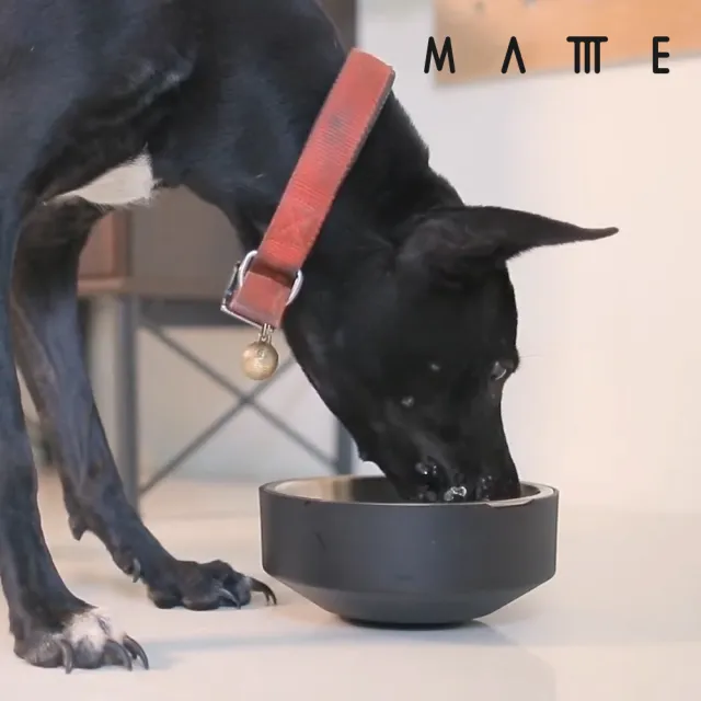 【MATTTE】RoLock 寵物不倒大口徑飼料斜食碗+水碗組 不鏽鋼原色(寵物碗/貓碗/狗碗/飼料碗)