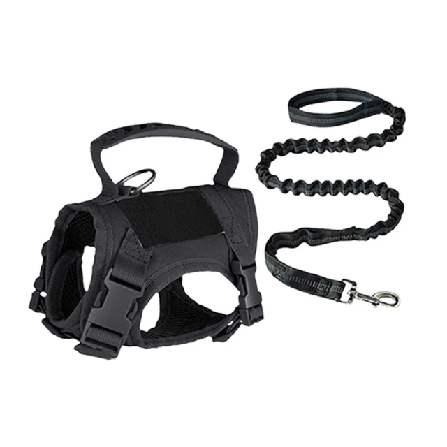 啟動主子的冒險模式：貓咪戰術胸背帶 (Tactical Cat Harness) 深度推薦