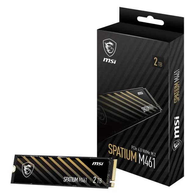 【MSI 微星】獨家 ★ SPATIUM M461 2TB M.2 PCIe Gen4 ssd固態硬碟 5年保固(最高讀取5000MB/s)