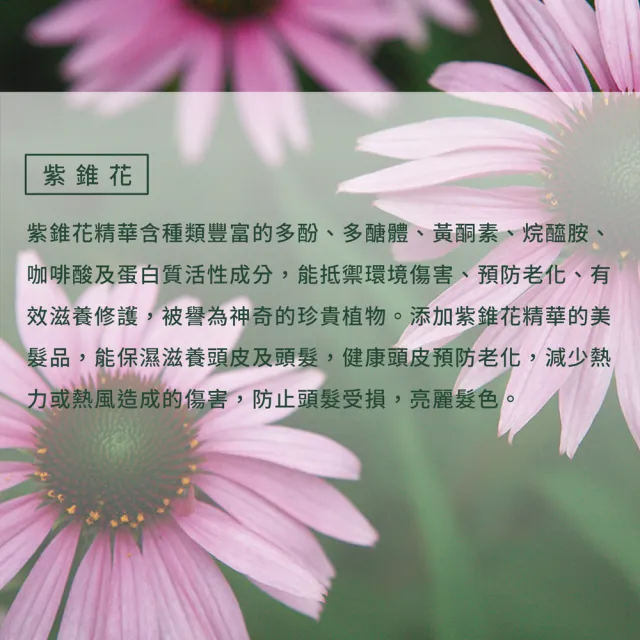 【Jollyard 潔麗雅】自然微風 紫錐花頭皮養髮液(150ml)