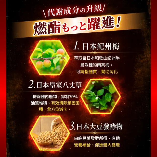【Dr. Calorie 美体專科】打卡錠GOLD+ 30顆/盒(長效代謝)