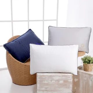 【Hilton 希爾頓】尊榮享受機能枕系列/二入組(枕頭/獨立筒枕/透氣枕/止鼾枕/石墨烯/涼感記憶枕)