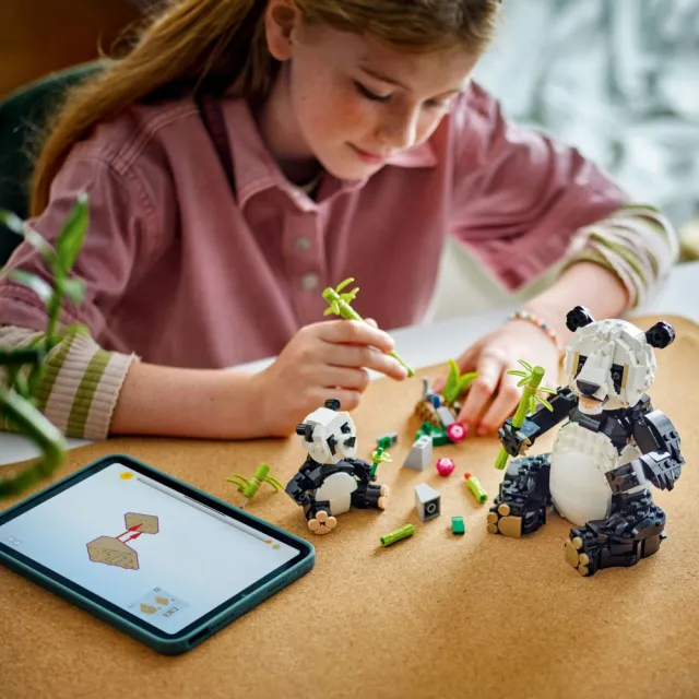 【LEGO 樂高】創意百變系列3合1 31165 野生動物：熊貓家庭(DIY積木 動物玩具 兒童玩具 禮物)