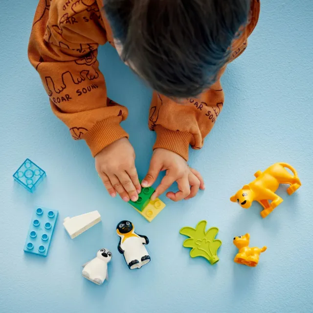 【LEGO 樂高】得寶系列 10442 野生動物家庭：企鵝和獅子(動物玩具 幼兒積木 兒童玩具 學習積木 禮物)