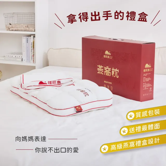 【Dream island 睡眠島】燕窩枕Nest Pillow-超值2入組(枕頭/玻尿酸面料/加大枕面/雙層支撐/睡眠改善)