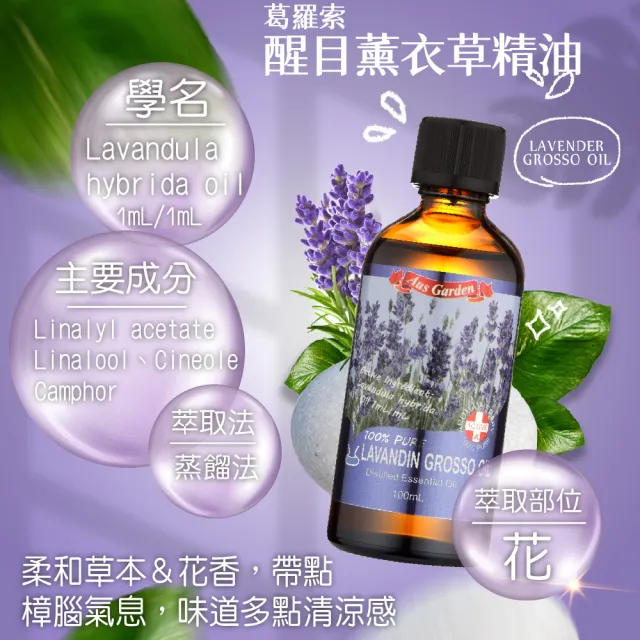【Ausgarden 澳維花園】大容量精油100mlx2入(任選/至尊薄荷/醒目薰衣草/茶樹/藍膠尤加利 任選)