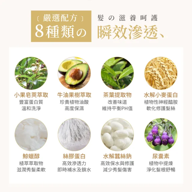 【KAFEN 卡氛】阿希朵 五合一懶人洗髮精500mlx2入(潔淨髮絲 強韌髮根 清爽不油膩)