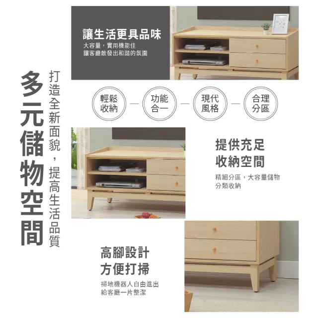 【ASSARI】4尺喬伊電視櫃(寬120x深40x高54cm)