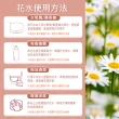【Amywo艾美窩】羅馬-洋甘菊 純露 花水 100ml(噴霧攜帶瓶)