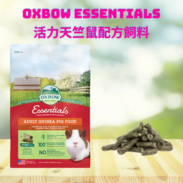 【2026】天竺鼠飼料推薦｜10款高評價人氣品牌排行榜 | BALIMAN情報局