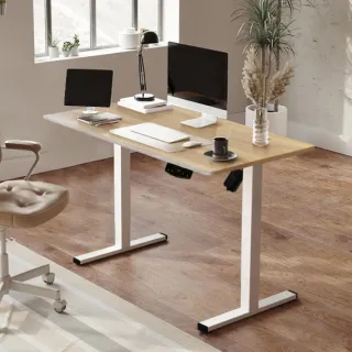 【IHouse】台灣製 120cm工學電動升降桌/兒童書桌/辦公桌/書桌/站立桌/電腦桌/成長桌