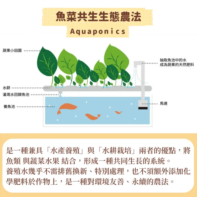 【優果香】綜合獨享包果乾 16包入 禮盒-附提繩(低溫電烤 保留原味 魚菜共生)