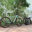 【CHANGE】GF-102G 公路車 折疊車 礫石車(Shimano Cues 20速 摺疊車 自行車 可加裝電動車套件)