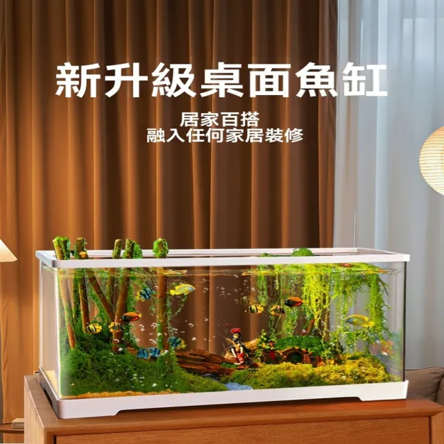 【極樂鳥寵物用品旗艦店】亞克力小型魚缸 防撞防耐摔 免換水桌面魚缸 預售12工作天(長30.5*寬18.5*高18.5)
