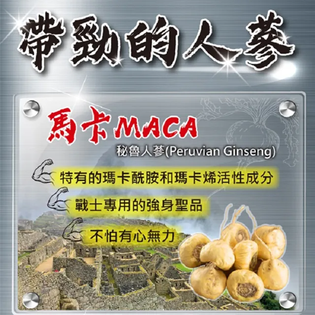 【YouBest 優倍多】A+男性強健複方軟膠囊(60粒/盒-瑪卡.南瓜籽油.刺五加.專利茯苓三萜 男性保健)