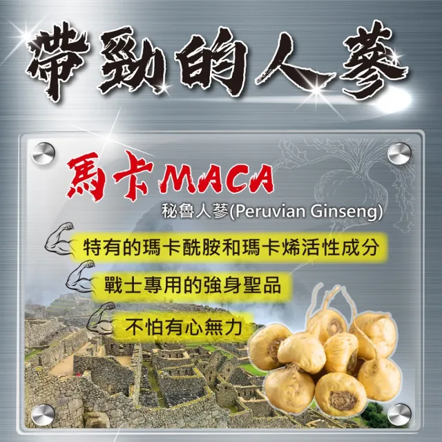 【YouBest 優倍多】男性強健複方軟膠囊 3入組(共180粒 瑪卡 南瓜籽油 刺五加 男性保健 鋅 禮盒)