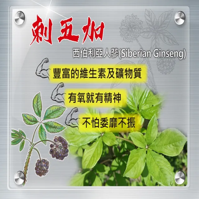 【YouBest 優倍多】男性強健複方軟膠囊 3入組(共180粒 瑪卡 南瓜籽油 刺五加 男性保健 鋅 禮盒)