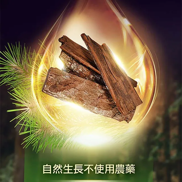 【ALLRE 歐瑞生醫】法國松樹皮時光膠囊 1入組(30粒/袋/促進膠原蛋白形成/抗氧化)