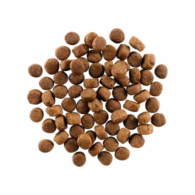 【Go!】雞肉鮭魚 3.5磅 老犬高肉量系列 低卡無穀天然糧(狗糧 體重控制 狗飼料 寵物食品)