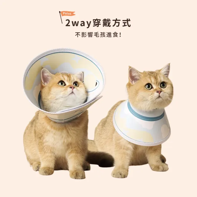 【chachacha】防水 伊莉莎白圈 2款(防舔咬頭套)