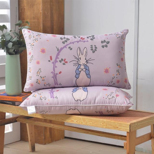 【PETER RABBIT 比得兔】日本TORAY防蟎抑菌可水洗枕-奇幻花園(2入/台灣製/抗菌枕/枕頭/比得兔與V&A博物館)