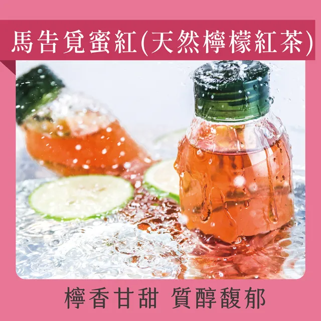 【發現茶】30秒冷泡茶 天然甘甜茶包 20入/盒(又一春青茶/烏龍茶/蜜香紅茶/薄荷綠茶/檸檬紅茶)