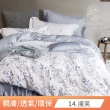【DeKo岱珂】買一送一   40支100%萊賽爾天絲床包枕套組 多款任選(雙/加 均一價)