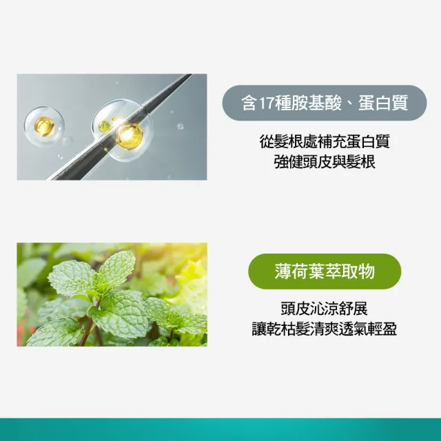 【KeraSys 可瑞絲】4入組_胺基酸去屑洗髮精600ml(控油勁涼/舒敏止癢/台灣總代理)
