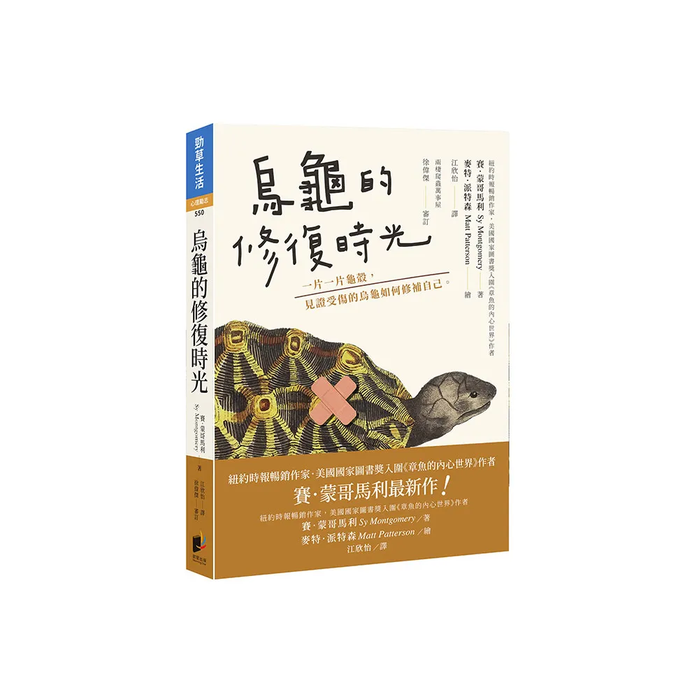 烏龜的修復時光：一片一片龜殼， 見證受傷的烏龜如何修補自己