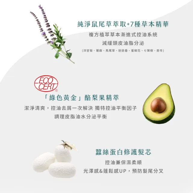 【SH-RD 史高師設】鼠尾草控油平衡護髮素200ml(平衡滋潤、柔順髮絲、潤髮乳、潤絲精)