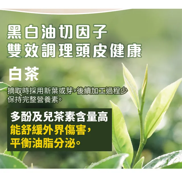 【古寶無患子】買1送1 黑白油沏雙效潔淨洗髮精400G(大油頭適用/髮根立正)