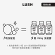 【LUSH 嵐舒】經典洗髮皂 清爽 蓬鬆 55g 多款任選(New/杜松果/藍海洋/拜拜頭皮屑/檸檬/Karma/Flyway)