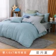 【HongYew 鴻宇】台灣製100%精梳棉 兩用被套 雙人(多款)