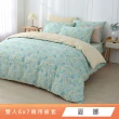 【HongYew 鴻宇】台灣製100%精梳棉 兩用被套 雙人(多款)