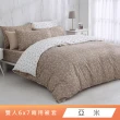 【HongYew 鴻宇】台灣製100%精梳棉 兩用被套 雙人(多款)