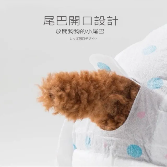 【Pet Universe 多寵宇宙】寵物尿布-L(寵物禮貌帶 狗尿布 狗狗尿布 狗狗禮貌帶 禮貌帶 貓尿布 貓咪尿布)