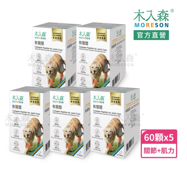 | BALIMAN情報局 【2026】狗狗關節保健食品推薦ptt》10款高評價人氣品牌排行榜 | BALIMAN情報局