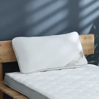 【Darphia 朵法亞】速寄|可水洗獨立筒枕 水洗枕 獨立筒枕 透氣枕 支撐枕(臺灣製造/45顆獨立筒)