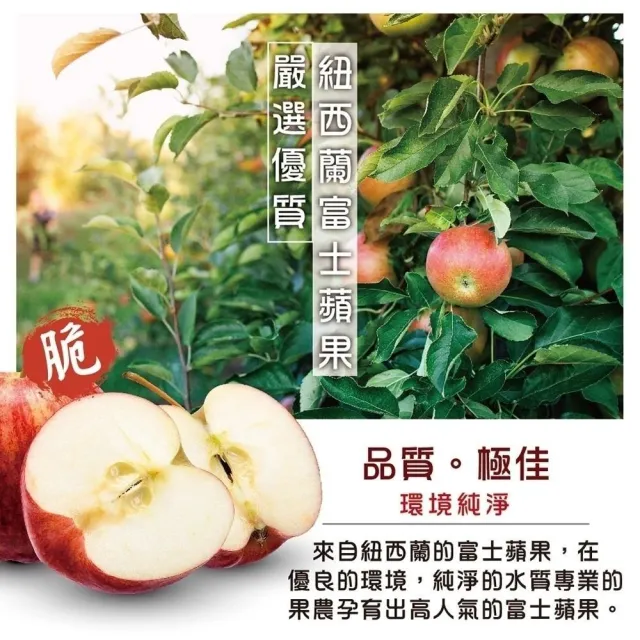 【WANG 蔬果】紐西蘭富士蘋果12顆x1盒(180g/顆_禮盒組)