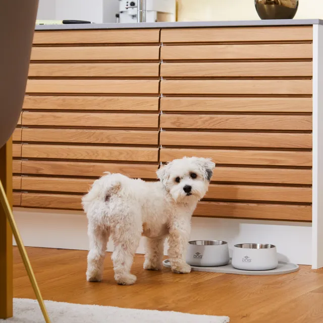 【DOG Copenhagen】丹麥犬Libra 矽膠餐碗墊-大(寵物餐墊 防水防漏抗污 好清洗)