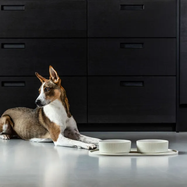 【DOG Copenhagen】丹麥犬Kronborg 炻器陶瓷寵物餐碗-中(歐洲匠心工藝 簡約炻器陶瓷狗碗)