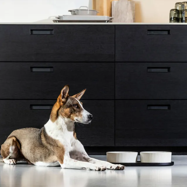 【DOG Copenhagen】丹麥犬Kronborg寵物雙碗餐墊組-中(歐洲匠心工藝 陶瓷狗碗橡木餐墊)