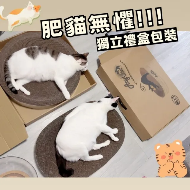 【AOYI】100%MIT（禮盒裝XL）高密度瓦楞紙貓窩貓抓板(台灣製造 耐抓不掉屑 超大尺寸 交換禮物)