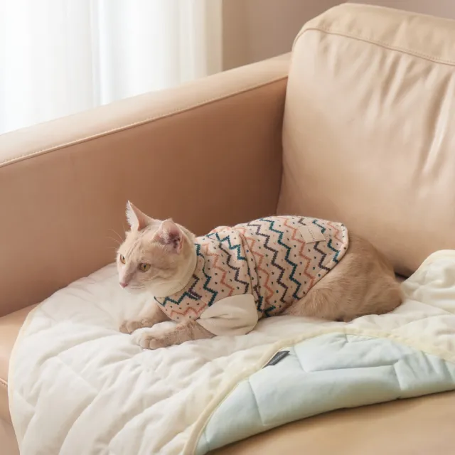 【小宅生活】COZY四季被55x60cm(寵物四季毯 寵物被子 睡毯 地墊 寵物用品 涼感被)